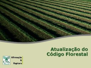 Afirmao Ruptura Atualizao do Cdigo Florestal BRASIL e