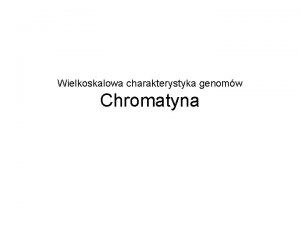 Wielkoskalowa charakterystyka genomw Chromatyna Chromatyna wypenia jdro komrkowe