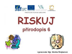 RISKUJ prodopis 6 vypracovala Mgr Monika trejbarov kvasinky