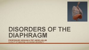 DISORDERS OF THE DIAPHRAGM PROFESSOR HESHAM ATEF ABDELHALIM