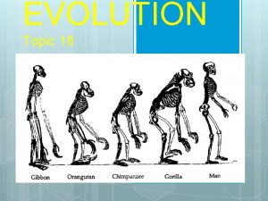 EVOLUTION Topic 18 http www youtube comwatch vfa