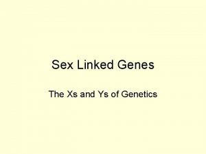 Sex Linked Genes The Xs and Ys of