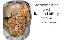 Gastrointestinal tract liver and biliary system Dr AMAL