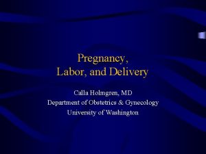 Pregnancy Labor and Delivery Calla Holmgren MD Department