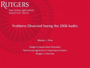 Problems Observed During the 2008 Audits Wesley L