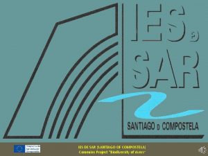 IES DE SAR SANTIAGO OF COMPOSTELA Comenius Project