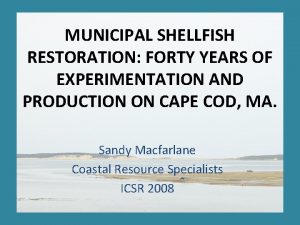 MUNICIPAL SHELLFISH RESTORATION FORTY YEARS OF EXPERIMENTATION AND