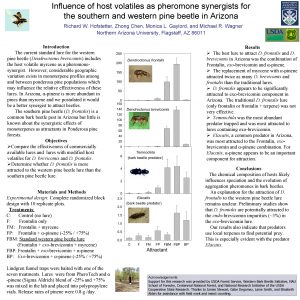 Influence of host volatiles as pheromone synergists for