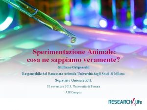 Sperimentazione Animale cosa ne sappiamo veramente Giuliano Grignaschi