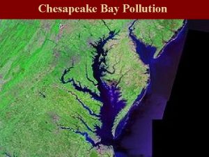 Chesapeake Bay Pollution Types of Pollution Chemical Toxic