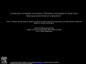 Construction of Acetate Auxotrophs of Neisseria meningitidis to