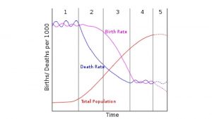 Population Pyramids Stages of Demographic Transition Model Stage