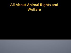 All About Animal Rights and Welfare Animal Rights