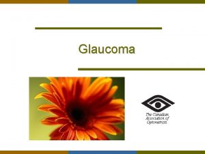 Glaucoma The Canadian Association of Optometrists What is