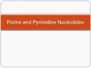 Purine and Pyrimidine Nucleotides NUCLEOTIDE SUGAR BASE PHOSPHATE