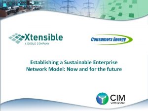 Establishing a Sustainable Enterprise Network Model Now and