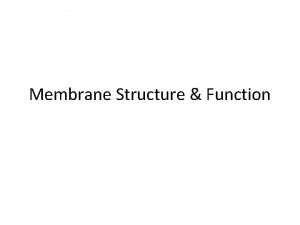 Membrane Structure Function Terms Selective Permeability Fluidity of