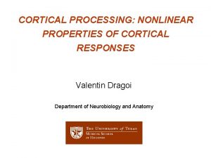CORTICAL PROCESSING NONLINEAR PROPERTIES OF CORTICAL RESPONSES Valentin