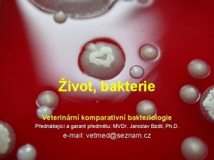ivot bakterie Veterinrn komparativn bakteriologie Pednejc a garant
