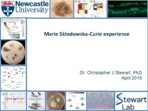 Marie SklodowskaCurie experience Dr Christopher J Stewart Ph