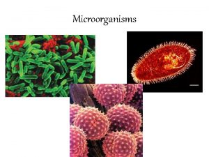 Microorganisms Microorganism Comes from the Greek words mikrs