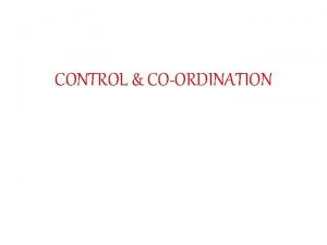 CONTROL COORDINATION HUMAN BRAIN HUMAN BRAIN The brain