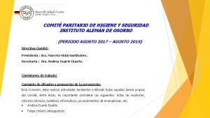 COMIT PARITARIO DE HIGIENE Y SEGURIDAD INSTITUTO ALEMN