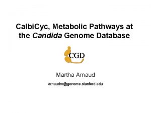 Calbi Cyc Metabolic Pathways at the Candida Genome