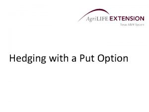 Hedging with a Put Option The Basics of