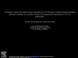 Prolonged insulin stimulation downregulates GLUT 4 through oxidative