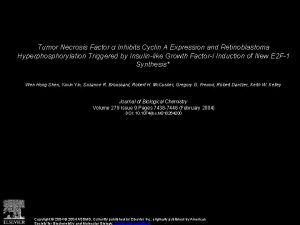 Tumor Necrosis Factor Inhibits Cyclin A Expression and