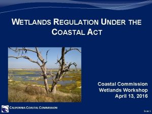 WETLANDS REGULATION UNDER THE COASTAL ACT Coastal Commission