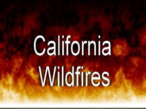 Wildfires Heidi Ertman Jessica Morgan Audra Parmer Jennifer