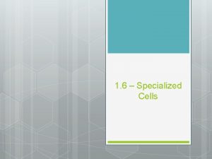 1 6 Specialized Cells SPECIALIZED CELLS Many complex
