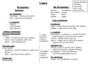 TUBES No GI layering trachea gall bladder ureter
