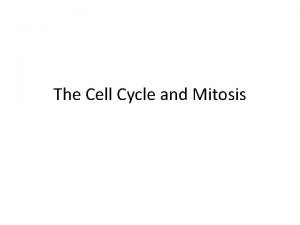 The Cell Cycle and Mitosis The Cell Cycle