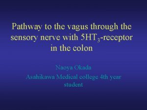 Pathway to the vagus through the sensory nerve