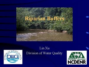 Riparian Buffers Lin Xu Division of Water Quality