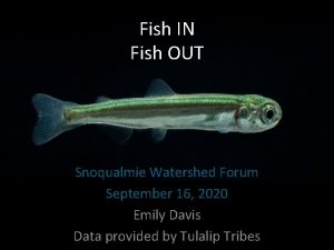 Fish IN Fish OUT Snoqualmie Watershed Forum September