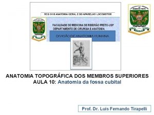 ANATOMIA TOPOGRFICA DOS MEMBROS SUPERIORES AULA 10 Anatomia