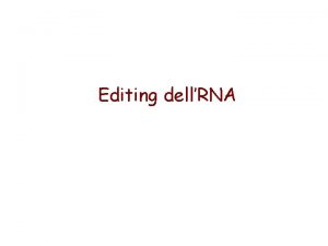 Editing dellRNA Editing dellm RNA per la Apolipoproteina