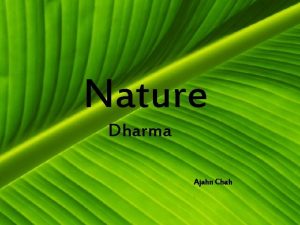 Nature Dharma Ajahn Chah Awakening to the Dharma