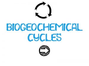 Biogeochemical Cycles Recall that matter is neither created