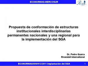 ECONORMASMERCOSUR Propuesta de conformacin de estructuras institucionales interdisciplinarias