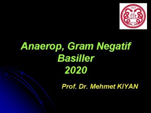 Anaerop Gram Negatif Basiller 2020 Prof Dr Mehmet