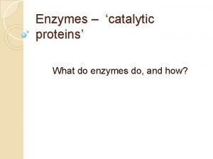 Enzymes catalytic proteins What do enzymes do and