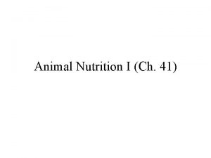Animal Nutrition I Ch 41 Keywords Heterotroph Autotroph