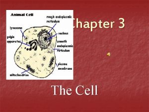 Chapter 3 The Cell Cell Structure n Cell