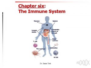 Chapter six The Immune System Dr Sanaa Tork