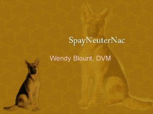 Spay Neuter Nac Wendy Blount DVM Targeted Spay